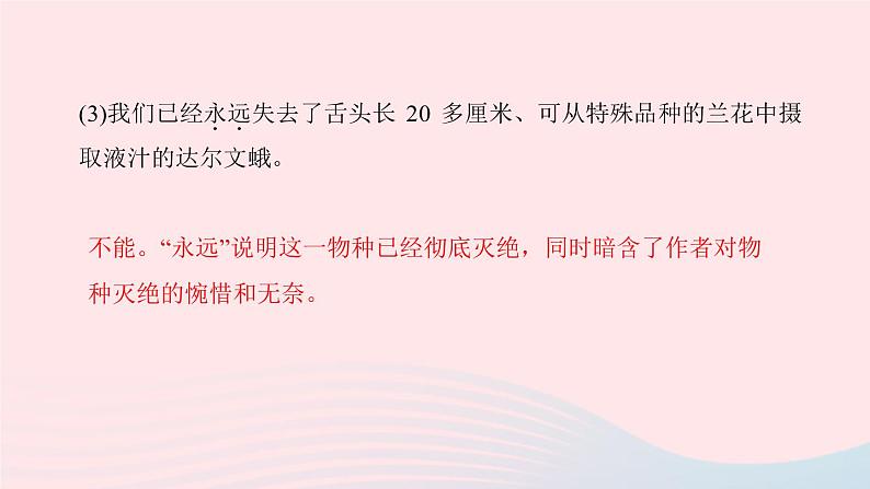 八年级语文上册第四单元15雨林的毁灭——世界性灾难习题课件语文版 (1)07
