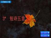 部编版九年级下册：3《短诗五首》PPT课件+音频素材