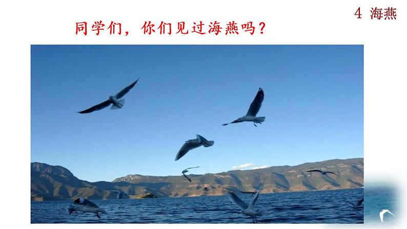 部编版九年级下册：4《海燕》PPT课件+音频素材01