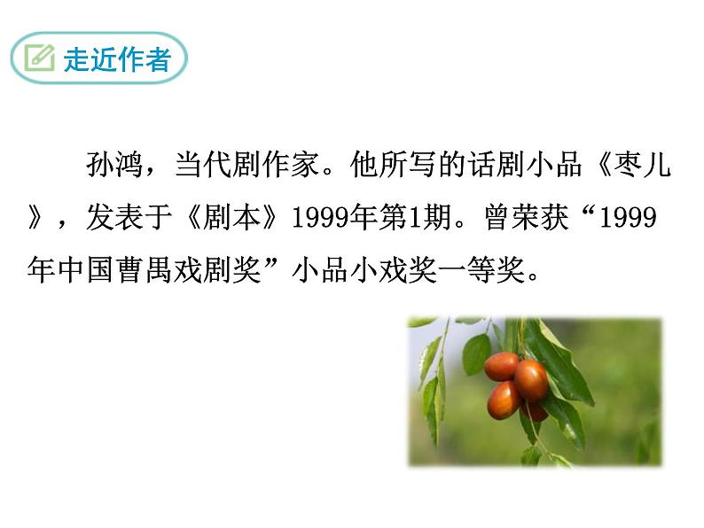 部编版九年级下册PPT课件：19.枣儿05