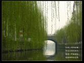 5.《大自然的语言》课件+朗读素材