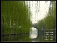 人教部编版八年级下册5 大自然的语言试讲课课件ppt