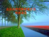 5.《大自然的语言》课件+朗读素材
