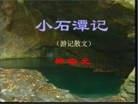 人教部编版八年级下册10 小石潭记一等奖ppt课件