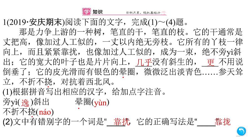 （安徽专版）八年级语文上册第四单元15白杨礼赞课件新人教版05