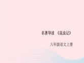 （安徽专版）八年级语文上册第五单元名著导读《昆虫记》课件新人教版