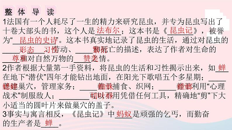 （安徽专版）八年级语文上册第五单元名著导读《昆虫记》课件新人教版06