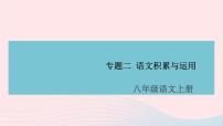 （安徽专版）八年级语文上册专题二语文积累与运用课件新人教版