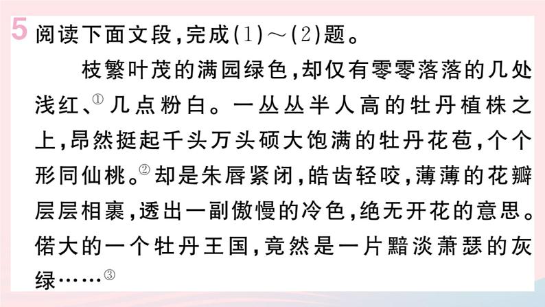 （贵州专版）八年级语文上册第四单元15白杨礼赞课件新人教版08