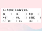 （贵州专版）八年级语文上册第四单元17昆明的雨课件新人教版