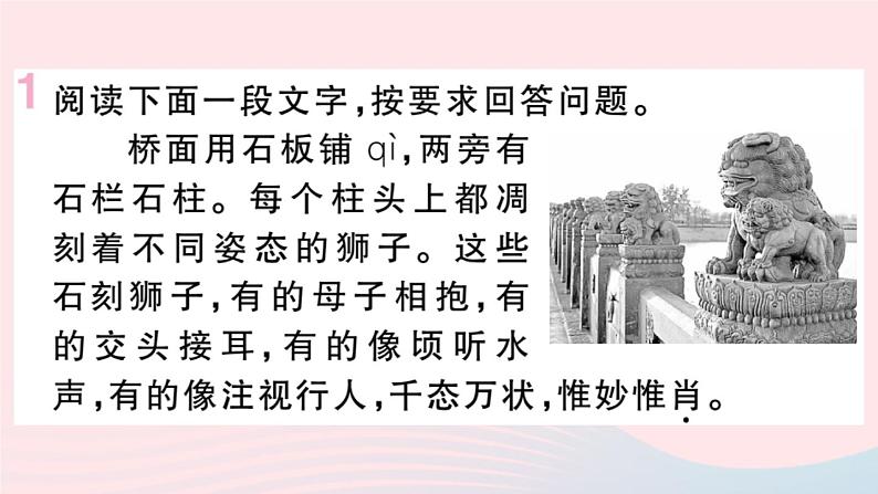 （贵州专版）八年级语文上册第五单元18中国石拱桥课件新人教版02