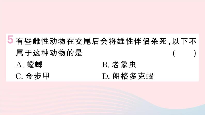 （河北专版）八年级语文上册第五单元名著练习8课件新人教版07