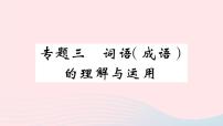 （河北专版）八年级语文上册专题三词语（成语）的理解与运用课件新人教版