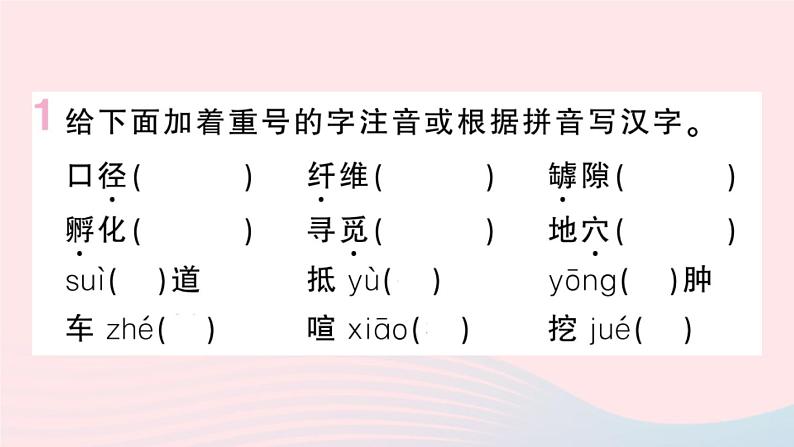 （河北专版）八年级语文上册第五单元20蝉课件新人教版02