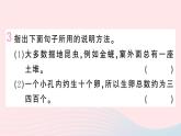 （河北专版）八年级语文上册第五单元20蝉课件新人教版