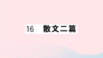 初中语文人教部编版八年级上册15* 散文二篇综合与测试获奖课件ppt
