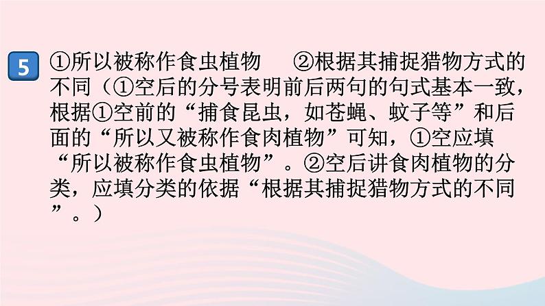（河南专版）八年级语文上册第二单元检测卷课件新人教版04