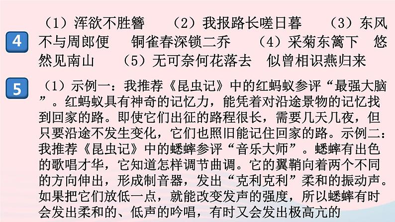 （河南专版）八年级语文上册第六单元检测卷课件新人教版03