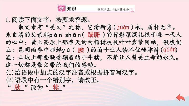 （河南专版）八年级语文上册第四单元17昆明的雨课件新人教版07