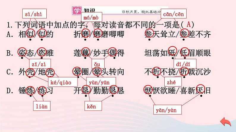 （河南专版）八年级语文上册第四单元15白杨礼赞课件新人教版08