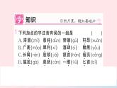 （湖北专版）八年级语文上册第二单元8列夫托尔斯泰课件新人教版