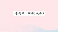 （湖北专版）八年级语文上册专题五词语（成语）课件新人教版