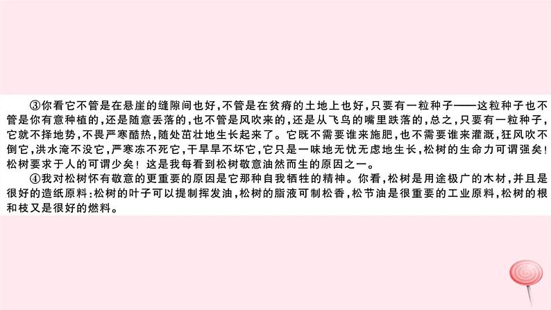 （山西专版）2019秋八年级语文上册第四单元15白杨礼赞习题课件新人教版07