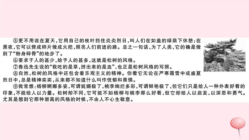 （山西专版）2019秋八年级语文上册第四单元15白杨礼赞习题课件新人教版08