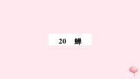 初中语文人教部编版八年级上册19* 蝉优秀习题课件ppt