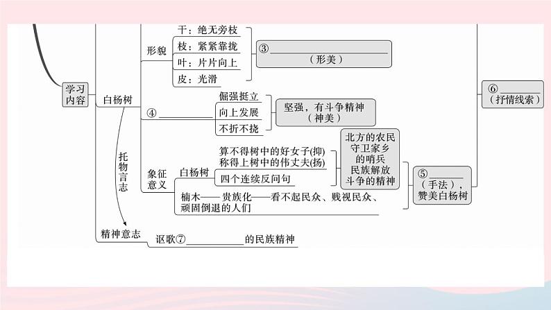 （武汉专版）八年级语文上册第四单元15白杨礼赞课件新人教版03