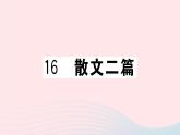 （武汉专版）八年级语文上册第四单元16散文二篇课件新人教版