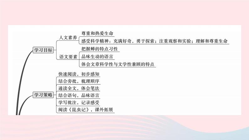 （武汉专版）八年级语文上册第五单元20蝉课件新人教版02