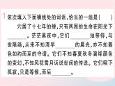 （武汉专版）八年级语文上册第五单元20蝉课件新人教版