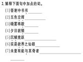 2019-2020学年（新人教版）八年级语文上册第三单元11短文二篇习题课件