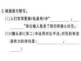 2019-2020学年（新人教版）八年级语文上册第三单元课外古诗词诵读习题课件