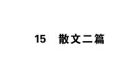 人教部编版八年级上册15* 散文二篇综合与测试一等奖习题课件ppt
