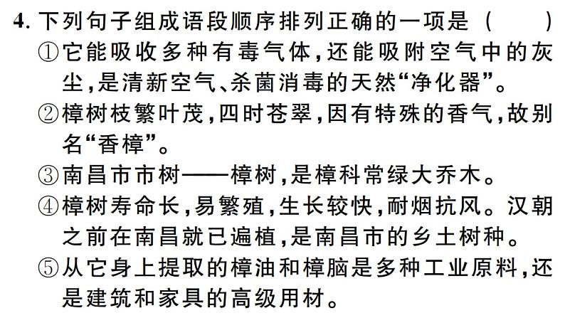 2019-2020学年（新人教版）八年级语文上册第四单元15白杨礼赞习题课件06