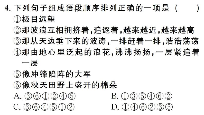 2019-2020学年（新人教版）八年级语文上册第四单元17昆明的雨习题课件第6页