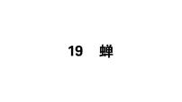 语文八年级上册19* 蝉优秀习题ppt课件
