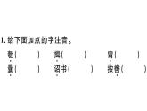 2019-2020学年八年级语文上册第六单元24周亚夫军细柳习题课件