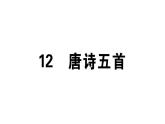 2019-2020学年八年级语文上册第三单元13唐诗五首习题课件
