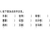 2019-2020学年八年级语文上册第三单元13唐诗五首习题课件