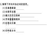 2019-2020学年八年级语文上册第三单元13唐诗五首习题课件