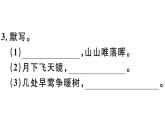 2019-2020学年八年级语文上册第三单元13唐诗五首习题课件