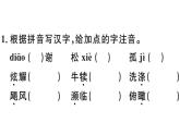 2019-2020学年八年级语文上册第四单元16散文二篇习题课件