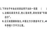 2019-2020学年八年级语文上册第五单元21梦回繁华习题课件