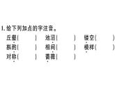 2019-2020学年八年级语文上册第五单元19苏州园林习题课件