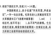 2019-2020学年八年级语文上册第一单元1消息二则习题课件