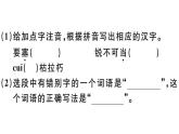 2019-2020学年八年级语文上册第一单元1消息二则习题课件