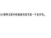 2019-2020学年八年级语文上册第一单元1消息二则习题课件